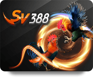 SBOTOP Game Bài Hot: Tips for New Players to Succeed